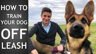 Off Leash Training How to Train Your Dog To Listen Off Leash [upl. by Aekin]