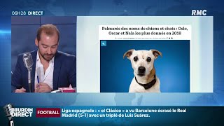 Quels sont les noms pour chiens les plus donnés en 2018 [upl. by Mehetabel]