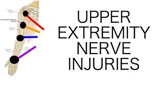 Upper Extremity Nerve Injuries [upl. by Gerri333]