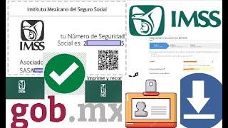 CÓMO DESCARGAR CARNET O TERJETA CON TU NÚMERO DEL IMSS NSS [upl. by Meisel557]