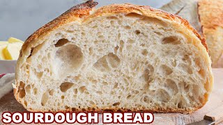 The Last SOURDOUGH STARTER RECIPE You Ever Need [upl. by Turne]