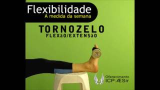 Tornozelo FlexãoExtensão [upl. by Glialentn]