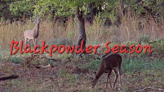 Deer Hunting Oklahoma  Blackpowder Season  Wildlife Photography [upl. by Notlaw635]