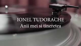 Ionel Tudorache  Anii mei si tineretea versuri lyrics karaoke [upl. by Gautious]