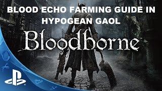 Bloodborne Blood Echo amp Twin Bloodstone Farm Guide EASY [upl. by Hunt455]