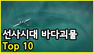 과거였으면 바다낚시를 꿈꿀 수도 없게 만들었을 바다괴물 Top 10 [upl. by Gaw102]