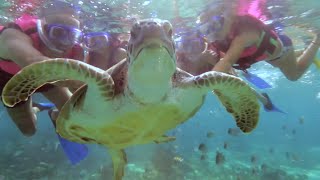 Tour Snorkel  Xcaret México Cancún Eco Park [upl. by Annaes]