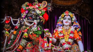 Hare Krishna Kirtan  Mayapur iskcon  Maha mantra kirtan  mayapur kirtan [upl. by Cary943]