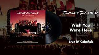 David Gilmour  Wish You Were Here Live In Gdansk Official Audio [upl. by Quinta660]