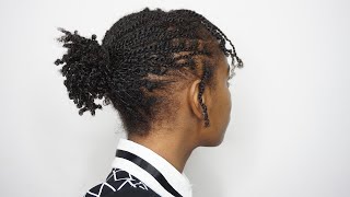 MINI TWISTS Install on Thin KinkyCoily Natural Hair [upl. by Galang]