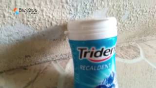 Trident Recaldent Freshmint Flavored Sugar Free Gum 476g [upl. by Ellerred536]