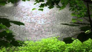 Rainy Lake  video designed by dreamsceneorg [upl. by Polish]