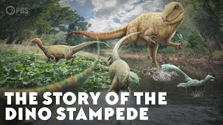 The Story of the Dino Stampede [upl. by Kowalski]