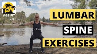 Lumbar Spondylosis Exercises [upl. by Fairleigh72]