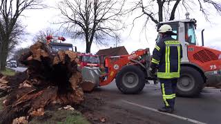 Sturm Friederike im Landkreis Diepholz [upl. by Yelrahc]