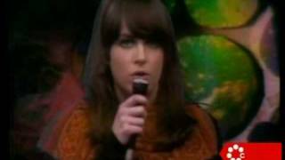 Jefferson Airplane White Rabbit Live 1967 [upl. by Nolat418]