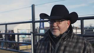 Simmental at the National Western Stock Show [upl. by Eeruhs]