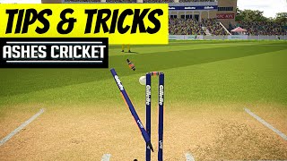 Ashes Cricket 2017 PC Gameplay [upl. by Jorie]