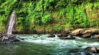 Relaxing River Sounds  Waterfall White Noise Flowing Water and Forest Creek Ambience [upl. by Zenger340]