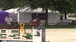 Sulu Rose Reed and Denali at Upperville [upl. by Ruthy370]