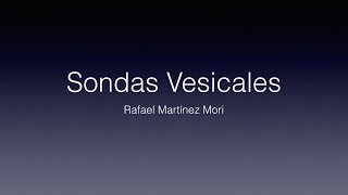 Sondas Vesicales [upl. by Terese]