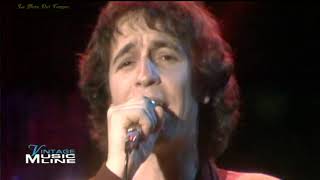 Rino Gaetano  A mano a mano Live 1981 [upl. by Acirred313]