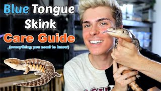 Blue Tongue Skink Care Guide EVERYTHING you need to know [upl. by Tova753]