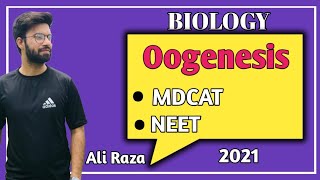 Oogenesis  NMDCAT 2021 [upl. by Ellon]