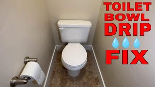 How to fix a dripping toilet  water leaking inside bowl [upl. by Acirema]