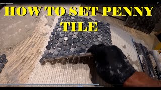 INSTALLATION OF PENNY TILE [upl. by Kerred]