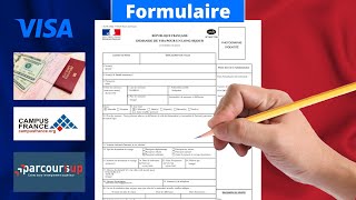 Comment remplir le formulaire de demande de visa Comment faire une demande de visa  France Visa [upl. by Dora]