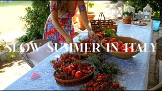 RENOVATING A RUIN Preserving Tomatoes in Italy Slow Summer Days Cottage Building Continues Ep 58 [upl. by Odey176]