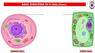 Lesson 1 Revision of the Structure of the Cell For Grade 12 [upl. by Akimyt]