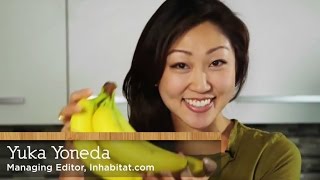 How to eat banana peels  with Yuka Yoneda [upl. by Ikaz439]