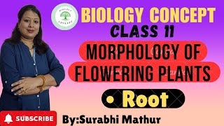 Class 11 Biology ।Ch5 Morphology of flowering plants। The Root। Modifications of Root। [upl. by Attolrahc]