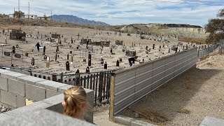 The Famous Clown Motel and Haunted Cemetery in Nevada  live [upl. by Oilerua356]