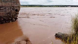 Ferocious TIDAL BORE in Truro Nova Scotia [upl. by Marcelo]