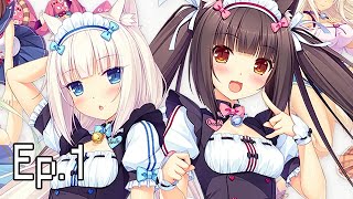 CATGIRL HEAVEN WITH MAXIMUM PHYSICS  Lets Play NekoPara Ep1 [upl. by Ttelracs]