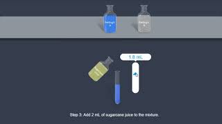 Sucrose Fehling test [upl. by Efren359]