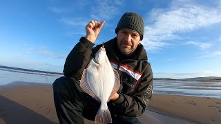 Beach Fishing for Beginners Catching Flounder and Dabs  Shore Fishing UK  Dunbar [upl. by Ahgiela]