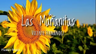 Las Mañanitas  Vicente Fernández Letra [upl. by Melton]