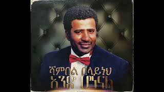 Shambel Belayneh  Amoraw ሻምበል በላይነህ  አሞራው [upl. by Nyliahs]