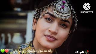 Rana ma ghwara da sro zaro pezwan  shafi Essar  Pashto SongPashto Dance  20232024 2023 [upl. by Nahtal15]