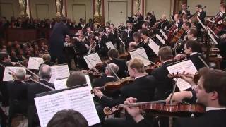 Beethoven  Sinfonia N 8 in Fa Maggiore  Christian Thielemann  Filarmonica di Vienna [upl. by Turtle]