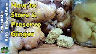 7 Ways to Store GINGER or Turmeric [upl. by Curry594]