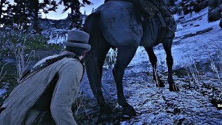 Red Dead Redemption 2  Shrinking Horse Balls [upl. by Webb]