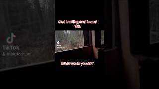 Sasquatch vocalizing bigfoot scary bigfootwitness creepy funnyvideos sasquatch01jrk57mktg [upl. by Alicul]