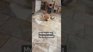 My dog smiles foryou foryoupage dogs dog doglover puppy goldenretiever fyp [upl. by Llennahc]