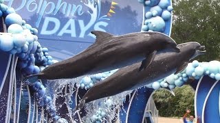 Dolphin Days Full Show  SeaWorld Orlando  May 19 2017 [upl. by Liu]