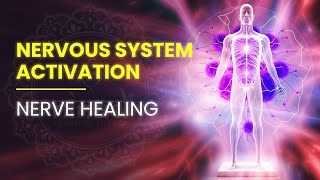 Parasympathetic Nervous System Activation  Turn Off Your Stress And Anxiety  Vagus Nerve Healing [upl. by Airamalegna867]